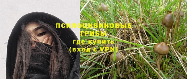 скорость Зерноград